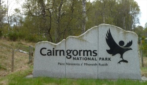 Cairngorms National Park, Scotland's largest forest, Scotland's largest wildlife preserve, biking in Scotland, Jim Caldwell Redondo Beach